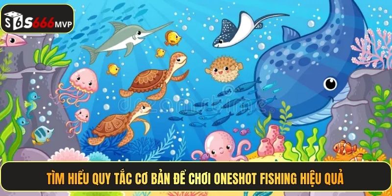 Tìm hiểu quy tắc cơ bản để chơi Oneshot Fishing hiệu quả