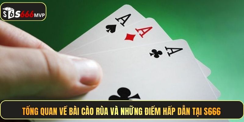 Tổng quan về bài cào rùa và những điểm hấp dẫn tại S666